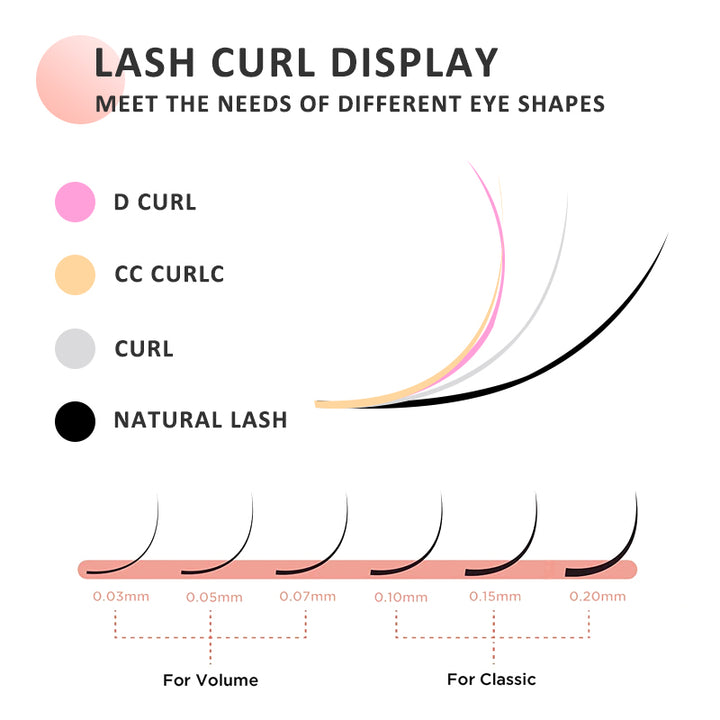 lash curl display